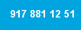 917 881 12 51